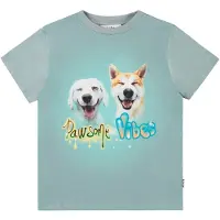 Molo Rame Short Sleeve T-Shirt Pawsome Vibes 110 cm Sininen 110 cm Pojat
