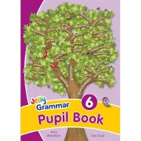 Wernham, Sara Grammar 6 Pupil Book