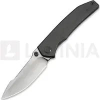 We Knife Ryson WE24086-2 Hand Satin Böhler M390, Gray Titanium, pocket knife, Raven The Pirate design