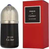 Cartier Pasha Noir 100ml Eau De Toilette