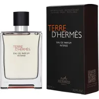 Hermès Paris Terre D'hermès, Eau de Parfum Intense 100ml