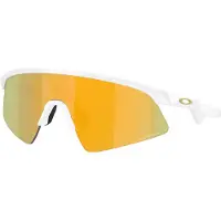 Oakley Resistor Sweep (Youth Fit) - Prizm 24K OJ9015-1128