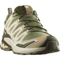 Salomon Xa Pro 3d V9 Gore-tex Polkujuoksukengät