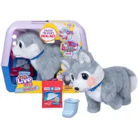 Little Live Pets Ouchies Husky (26680) Vuorovaikutteinen Leutu