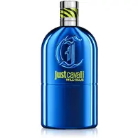 Roberto Cavalli Just Cavalli Wild Blue Eau de Toilette -tuoksu miehille 90 ml
