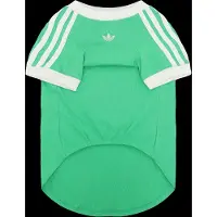 Adidas Originals Pet Cali Tee - Green - M