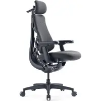 Usorteret Omni Gen Dynamic Ergonominen Tuoli - Graphite Gray