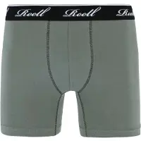 REELL Trunks Bokserit grey green Koko S