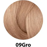Redken Shades Eq Bonder Inside 09gro 60ml Hiusvärit