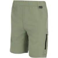 Regatta Sorcer Iii Shortsit