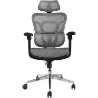Equip 651050, Verkkoistuin, Verkkoselkänoja, Harmaa, Harmaa, Verkko, Nailon, Verkko, Nailon