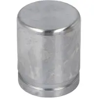 AUTOFREN SEINSA Piston brake caliper