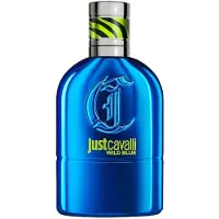 Roberto Cavalli Just Cavalli Wild Blue Eau de Toilette -tuoksu miehille 30 ml