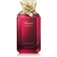 Chopard Rose de Caroline EDP 100 ml