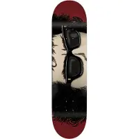 Toy Machine 8.25 Romero Dylan Skeittilauta