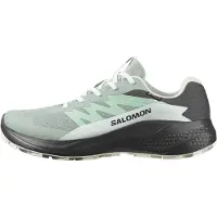 Salomon Alphaglide Gore-tex Polkujuoksukengät