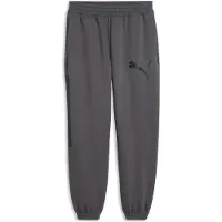 Puma Sport Street Relaxed Graphic Hikihousut