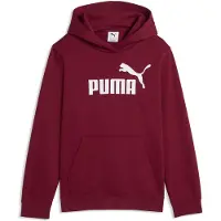 Puma Essential Nº1 Logo Huppari