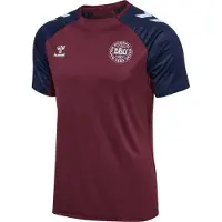 Hummel Tanska Treenipaita 26 Pro - Bordeaux/navy - , koko X-Large