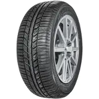 Yokohama Bluearth Winter (V905) 255/40R19 100V 3PMSF XL RP