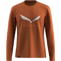 Salewa Solidlogo Dry´ton Pitkähihainen T-paita