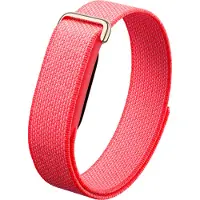 Google Air -aktiivisuusranneke, Berry