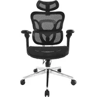 Equip 651051, Verkkoistuin, Verkkoselkänoja, Musta, Musta, Verkko, Nailon, Nailon, Verkko