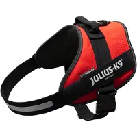 Julius-K9 Idc Koiran Valjaat