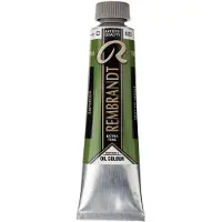 Taidepiste Rembrandt öljy 40ml 623 Sap Green