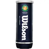 Wilson Roland Garros All Court Tennis Balls Keltainen 3 Balls