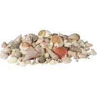 Relaxdays Setti simpukoita ja merietanoita 2kg., beige
