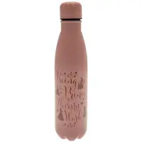 Ginza.se Disney Princess Metal 550ml Pullo
