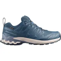 Salomon Men's XA 3D Pro V9 GORE-TEX Spellbound/Grisaille/Maritime Blue Juoksukengät Spellbound / Grisaille / Maritime Blue 40 2/3
