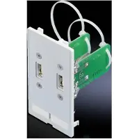 Rittal LIITÄNTÄPANEELI 2XUSB-RAK. A (2482540)
