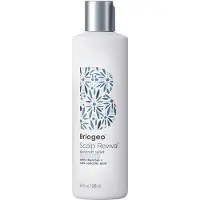 Briogeo Scalp Revival Dandruff Relief Conditioner 248 ml