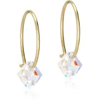 Blomdahl GT Ear Ring 14 mm, Bicone 6 mm Rainbow