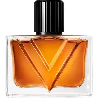 Valentino Vendetta Uomo Eau de Parfum 50 ml