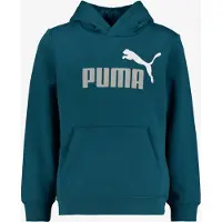 Puma Collegepaita 'Ess 2 No. 1' harmaa / petrooli / valkoinen
