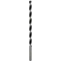 Bosch Puuporanterä ; 10x250 mm
