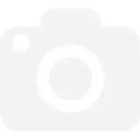 MSI STRIKE 600 V2 Silent DE Keyboard, verkabelt (S11-04DE256-CLA)