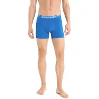 Icebreaker Anatomica Boxerit