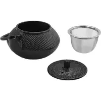 Tlily Iron Tea Pot with Stainless Steel Infuser Cast Japanese Iron Teapot Oolong Tea Puer Tea Tea Kettle 300ML