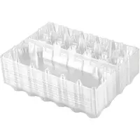 Torribaly 24Pcs Plastic Egg Cartons Bulk Clear Chicken Egg Tray Holder for Family Pasture Chicken Farm Business Market- 12 Grids
