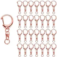 Torribaly 50 Pcs Rose Gold Keychain, Spring Snap Key Ring with Chain and Jump Rings, DIY Key Chain Parts for Hanging Buckle