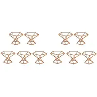 Torribaly Pack 10 Air Plant Holder Air Plants Holders Tillandsias Display Air Purifying Plant Container Air Fern Stand, Rose Gold