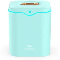 Typecat 2000ml Large Capacity Double Spray Port Air Humidifier USB Silent Aromatherapy Diffuser Cool Mist Maker for Home