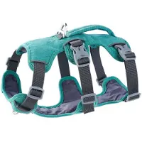 Kepptory Explosion-Proof Shock-Absorbing Protective Pet Harness Reflective Vest-Style Dog Harness for Small and Large Dogs L