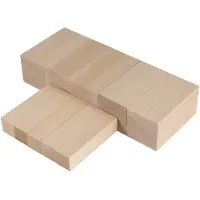 Typecat 10Pack Basswood Carving Blocks Kit Whittling Blanks Beginners Unfinished Wood Whittling Blocks Carving Block Kit(5L+5S)