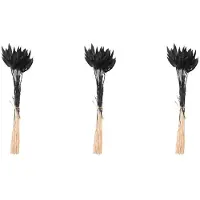 Torribaly 180Pcs Fall Dried Flowers Bunny Tails Dried Flowers Lagurus Ovatus Rabbit Tail Grass for Dried Floral(Black)