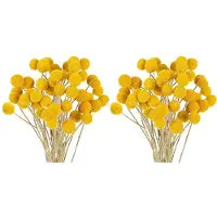 Torribaly 96 Pcs Dried Flowers Dried BillyBalls Dried Craspedia Flowers Button Yellow Dried Flowers Fake Silk Dried Flower